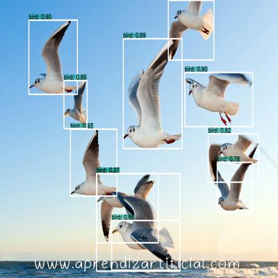 anotação de imagens visão computacional